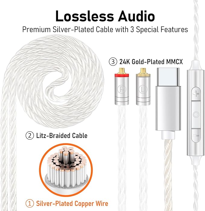 Vibes 202MC USB-C Wired Earbuds - HiFi in Ear Monitor Headphones - Noise Isolating Ear Buds w/ Mic - Clear Sound, Deep Bass & Comfort-Fit Earphones - MMCX to USBC, Silver Plated Cord, Carrying Case