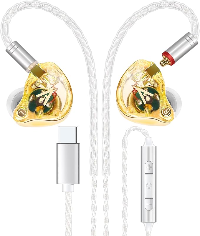 Vibes 202MC USB-C Wired Earbuds - HiFi in Ear Monitor Headphones - Noise Isolating Ear Buds w/ Mic - Clear Sound, Deep Bass & Comfort-Fit Earphones - MMCX to USBC, Silver Plated Cord, Carrying Case