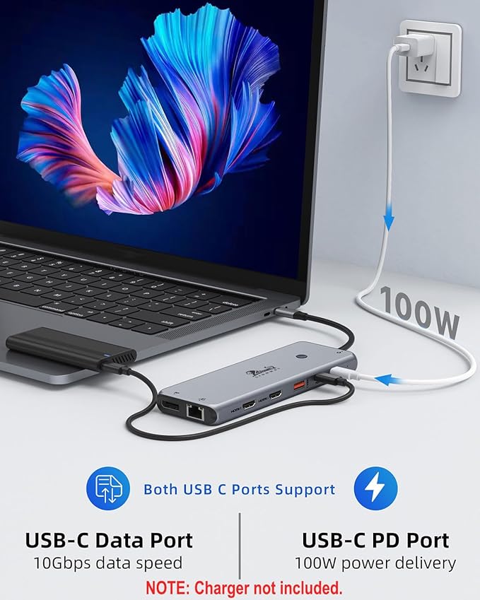 13 in 1 USB C Docking Station - Dual Monitor, Triple Display, 8 USB C/A Ports, Ethernet, Audio - LIONWEI USB C Hub for MacBook,Dell,HP,Lenovo,Surface