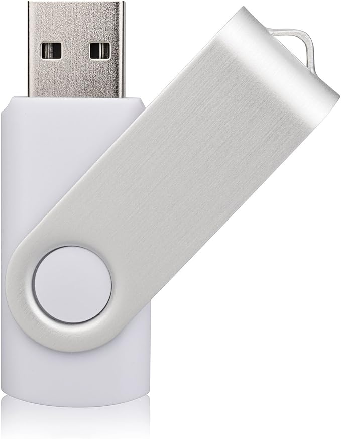 Aiibe 10 Pack 128GB Flash Drive USB Drive Thumb Drives USB 2.0 Memory Stick Jump Drives 128GB USB Flash Drive Bulk (10 Mixed Colors: Black Blue Red Green Orange White Yellow Pink Purple Silver)