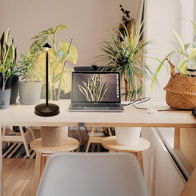 Rechargeable Cordless Table Lamp,3000mAh Battery Operated Table lamp,Portable LED Touch 2 Levels Brightness Dimmable Bar Lamp,Battery Powered Lamp for Bars,Restaurant,Living Room(2 Pack)