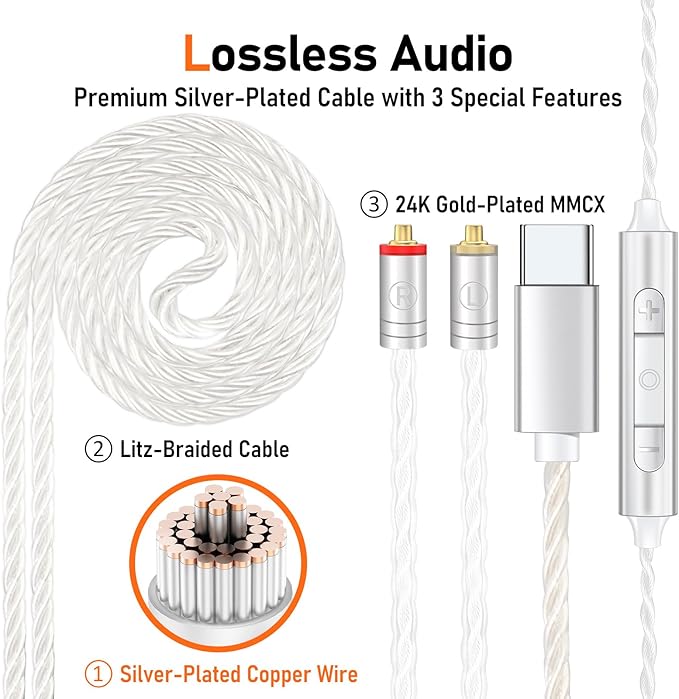 Vibes 202MC USB-C Wired Earbuds - HiFi in Ear Monitor Headphones - Noise Isolating Ear Buds w/ Mic - Clear Sound, Deep Bass & Comfort-Fit Earphones - MMCX to USBC, Silver Plated Cord, Carrying Case