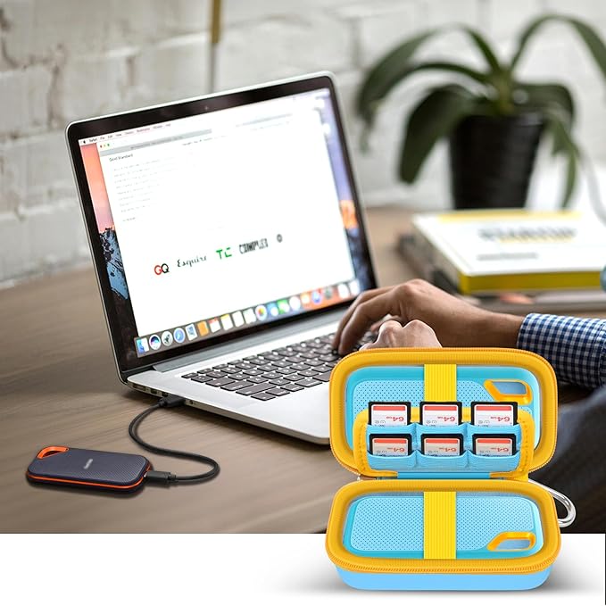 Case Compatible with SanDisk Extreme Pro/for SanDisk Portable SSD 1TB 2TB 4TB 500GB/ for Crucial X9 X10 Pro External Solid State Drive, Travel Storage Bag for 2 SSD and SD Card- Sky Blue (Box Only)