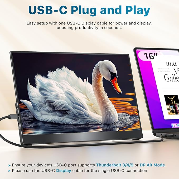 Portable Monitor 15.6 inch 1080P FHD 88% sRGB 60Hz, Travel Monitor for Laptop MacBook Surface PC Xbox PS5, HDMI Dual USB-C VESA Compatible Built-in Speaker, with Stand