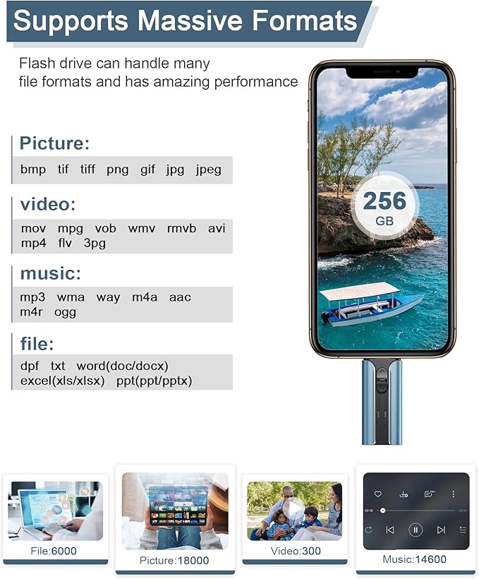 256GB USB Flash Drive for Phone and Pad, Photo Stick High Speed External USB Thumb Drives Photo Storage Memory Stick for Save More Photos and Videos (DarkBlue, 256GB)