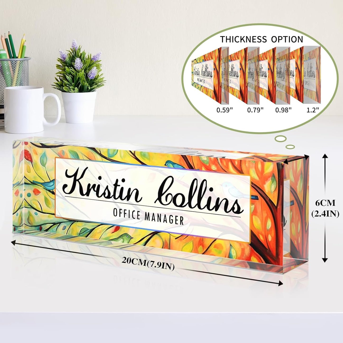 Custom Name Plate for Desk, Acrylic Office Decor For Women Men, Personalized Office Desk Accessories, Teacher Employee Appreciation Gifts For Social Worker Boss Coworkers (Birds)