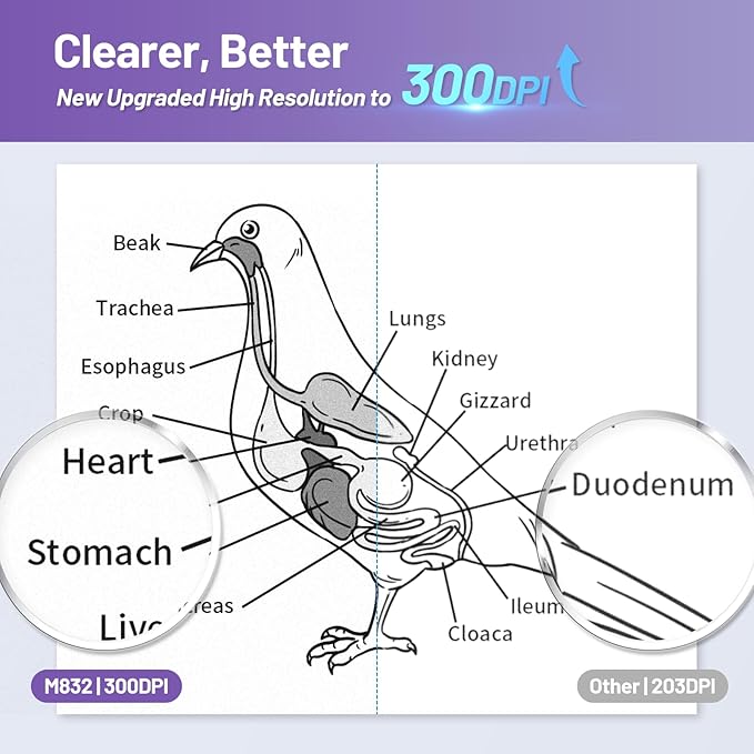 Itari M832 Portable Printer for Travel with Case and 4 Rolls Paper, Inkless Thermal Printer, Support 8.5" x 11" A4 & US Letter, Wireless Compatible with iPhone, Android, Laptop, Purple