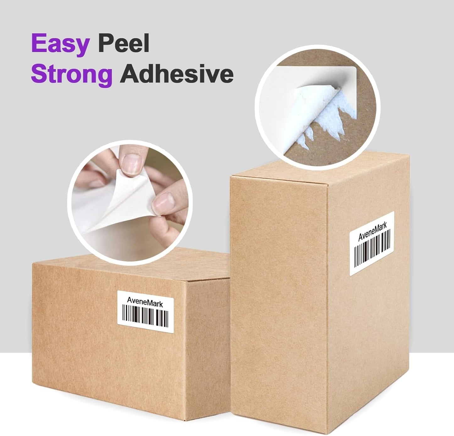 12 Rolls 12000 Labels 2.25" x 1.25" Direct Thermal Labels - AveneMark Perforated for Barcode Address Labels - Postage Shipping Labels Compatible with Rollo & Zebra Desktop Printers,1000 Labels/Roll