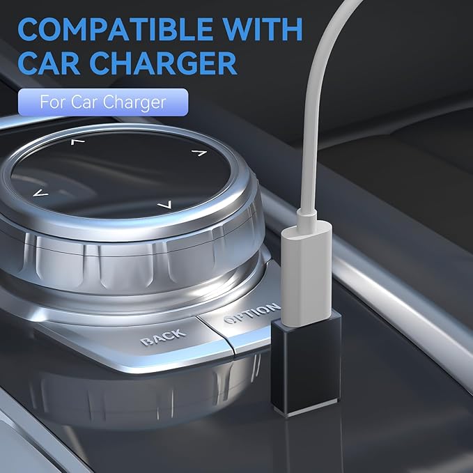 4-Pack USB C to USB Adapters, with 2 Type C Female to A Male Converters & 2 USB C Male to USB Female Connectors, Compatible with Apple Watch, iPhone 15 Pro Max 14 13 12, AirPods, Ultra 8 9 - Gray