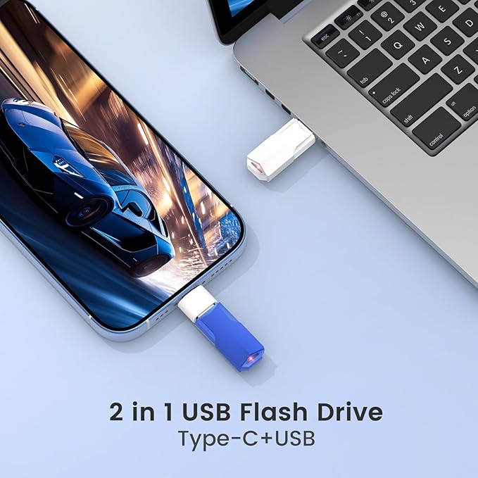 4GB Flash Drives 10 Pack Wooolken USB 2.0 Thumb Drives with 5Pack USB C Adapters and Lanyards,Memory Sticks for Data Storage