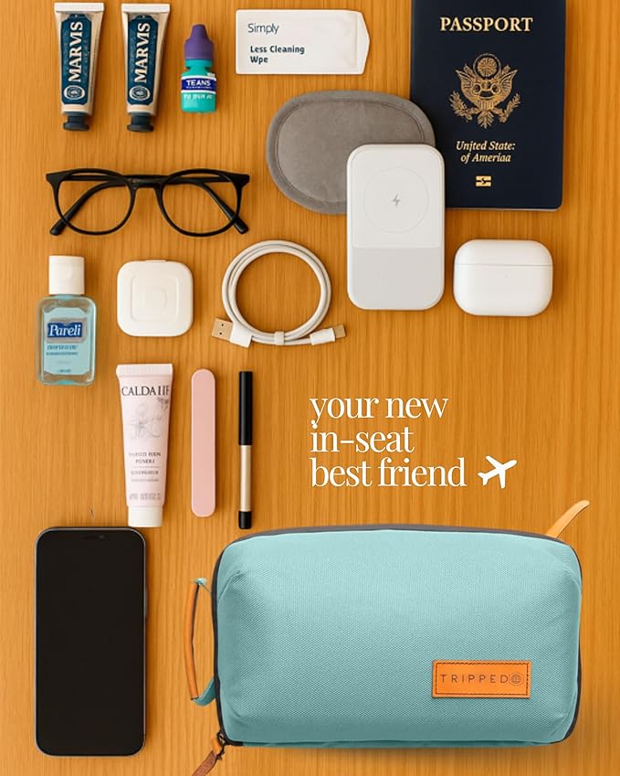 Tech Bag Organizer - Small Electronics Organizer Pouch for Travel - Premium Travel Case with Leather Accents - Mesh Pocket for Cables, Cords and Chargers (Dusty Teal)