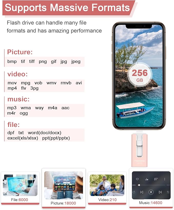 256GB USB Flash Drive for Phone and Pad, High Speed External USB Thumb Drives - Photo Storage Memory Stick for Save More Photos and Videos (Pink, 256GB)