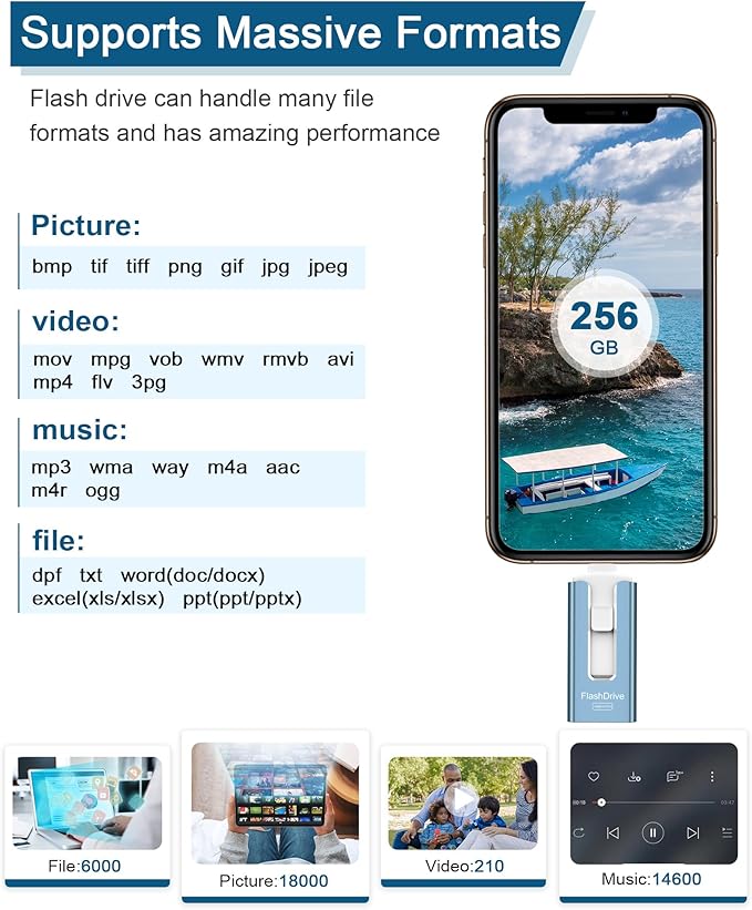 256GB USB Flash Drive for Phone and Pad, Photo Stick High Speed External USB Thumb Drives Photo Storage Memory Stick for Save More Photos and Videos (Blue, 256GB)