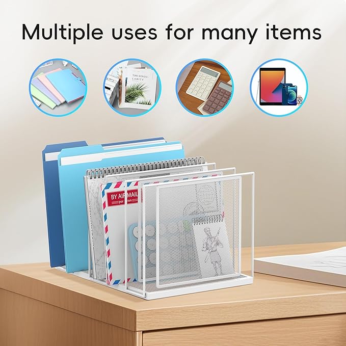 File Organizer for Desk, 5-Section Vertical File Sorter, Paper Holder Organizer Standing Metal File Folder for Office Home Classroom, White