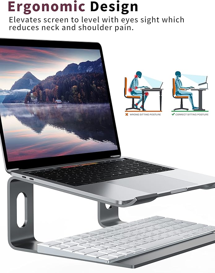 ALASHI Laptop Stand for Desk, Aluminum Computer Riser, Ergonomic Notebook Holder, Detachable Metal Laptops Elevator, PC Cooling Mount Support 10 to 15.6 Inches Notebook, Grey