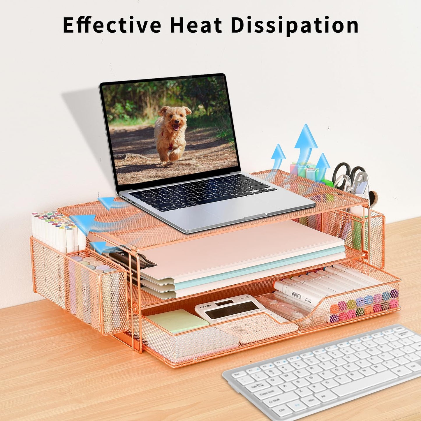 AUPSEN Computer Monitor Stands Riser，2-Tier Desk Organizers and Accessories, Office Desk Accessories Organizer with Drawers and 2 Pen Holder for Office Supplies (Rose Gold)