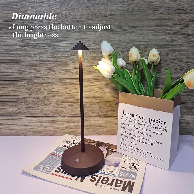 Rechargeable Cordless Lamps,3000mAh Battery Operated Table Lamp,Portable LED Touch 2 Levels Brightness Dimmable Bar Lamp,Battery Powered Lamps for Bars,Restaurant,Living Room(2 Pack,Rust)