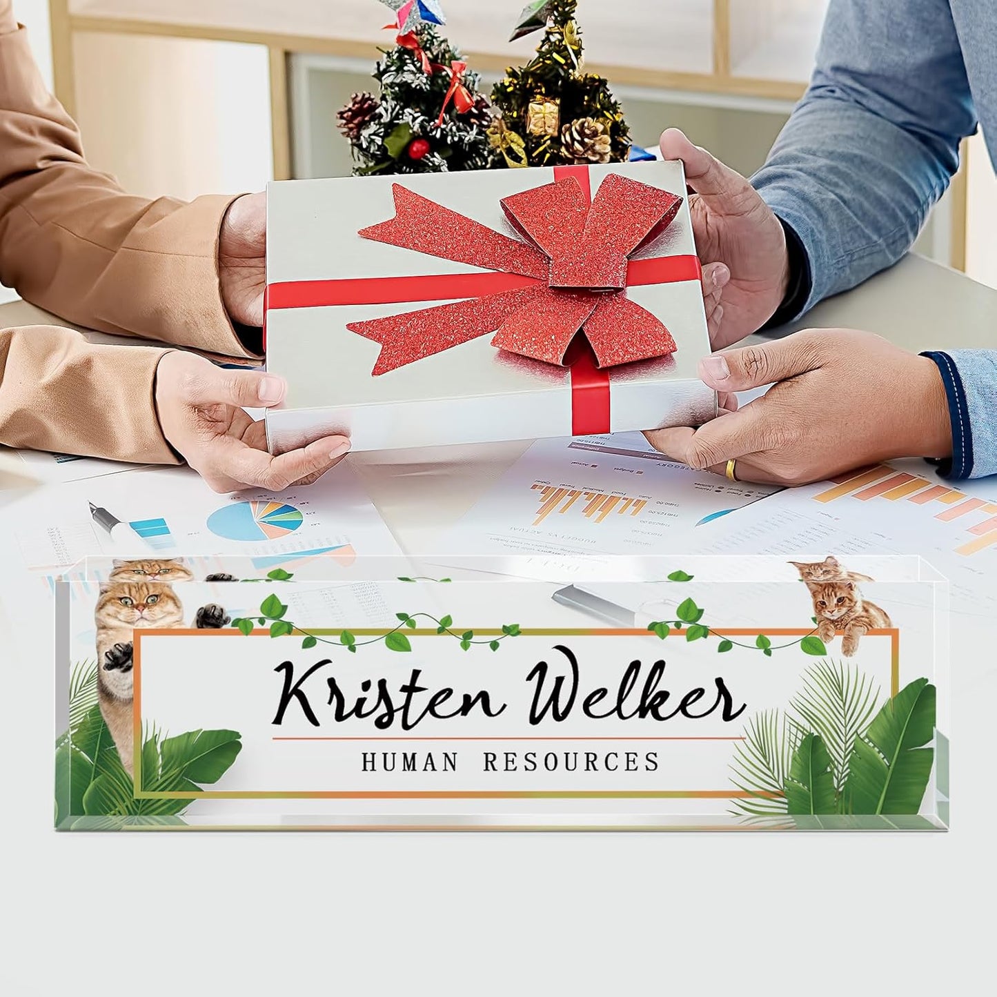 Gowellly Office Desk Name Plate Personalized - Custom Acrylic Name Plates for Desk - Employee Appreciation Gifts - Office Gifts for Teacher,Boss,Nurse,Lawyer,Women Office (Pet-cat-1)