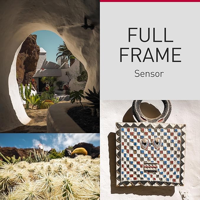 Panasonic LUMIX S9 Full-Frame Mirrorless Camera with S 18-40mm F4.5-6.3 Lens, Compact, Lightweight Body, Perfect for Social Media and Travel, DC-S9NA