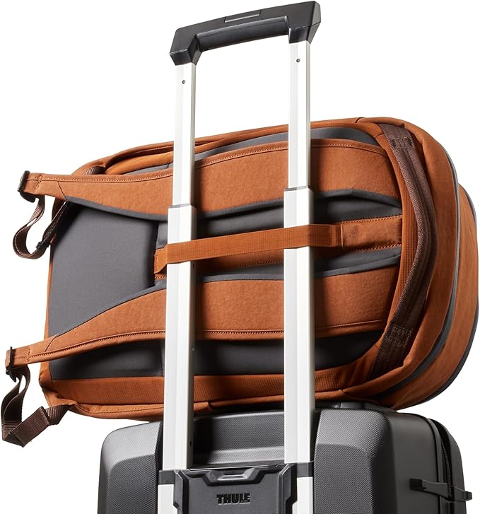 Bellroy Transit Workpack Second Edition (20L, fits 16” laptops, tech, gym gear, water bottle, daily essentials) -Bronze