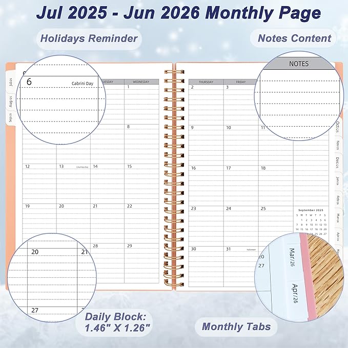 Day Planner 2025-2026, Jul.2025-Jun.2026, 6.2" x 8.4", 2025 Planner Weekly and Monthly, 2025 Agenda Planner with Tabs & Pocket, 100GSM Thick Paper, Pink