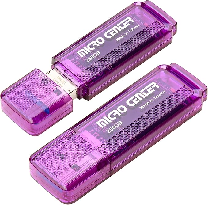 INLAND Micro Center Super Speed 256GB 2-Pack Ultra Flash Drive USB 3.0/USB3.1 Gen1 Memory Stick with Keychain Thumb Drive Photo Stick Jump Drive