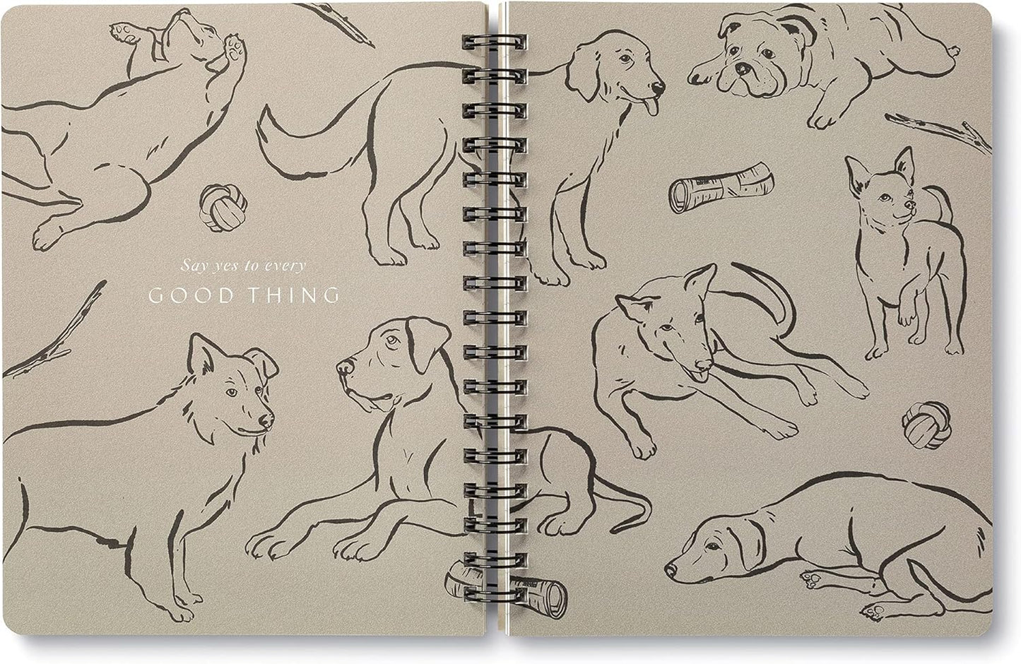 Compendium Spiral Notebook - Play All Day — A Designer Spiral Notebook with 192 Lined Pages, College Ruled, 7.5”W x 9.25”H